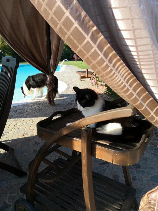 B&B Il Martin Pescatore Bagnolo San Vito Ngoại thất bức ảnh